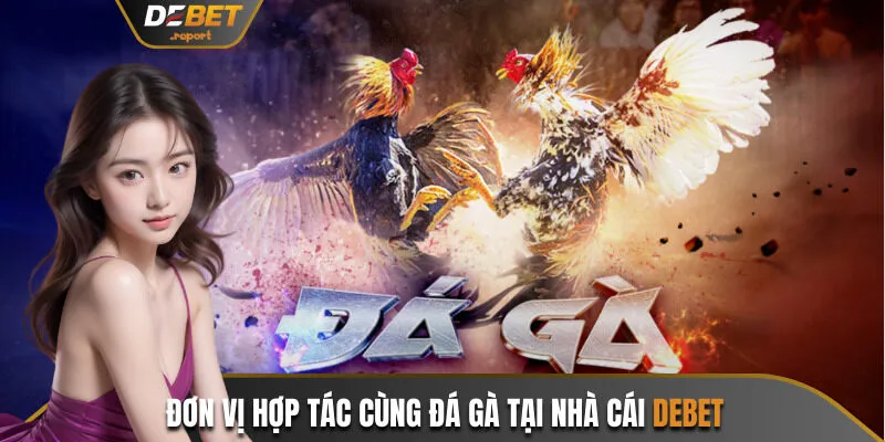Đơn vị hợp tác cùng đá gà tại nhà cái Debet