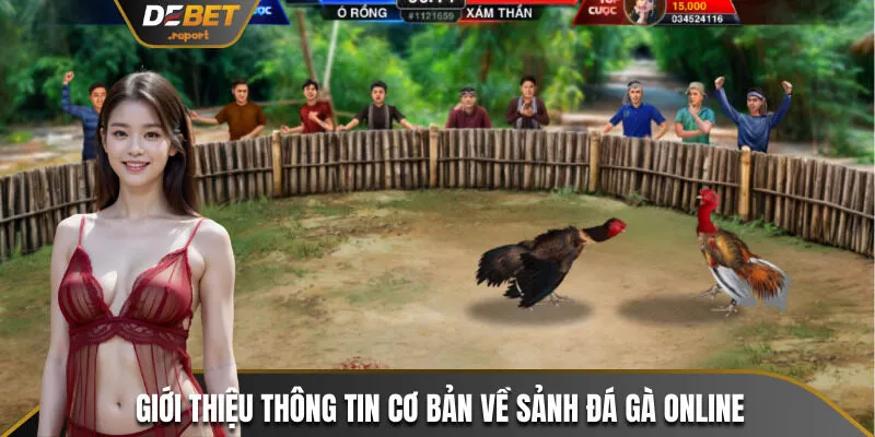 Giới thiệu thông tin cơ bản về sảnh đá gà online